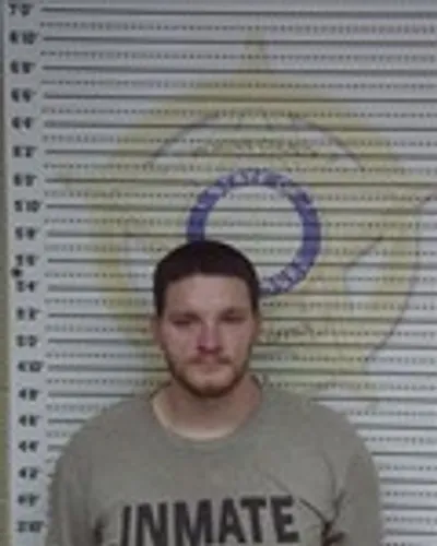 Tyler Watson mugshot