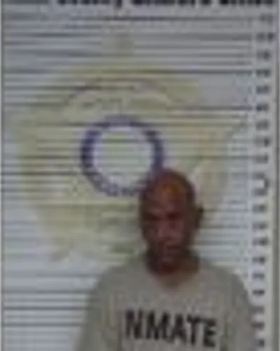 Robert Rummel mugshot