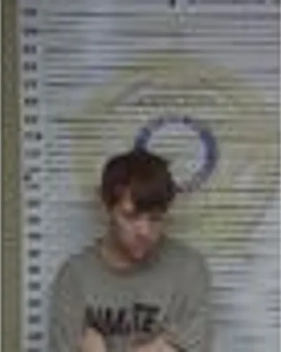 Mathew Huston mugshot