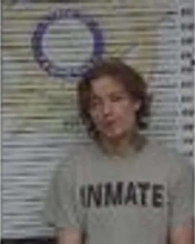 Tristian Johnson mugshot