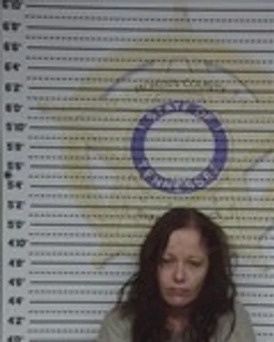 Lisa Allen mugshot