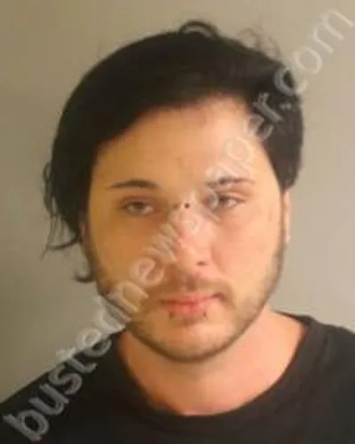 DALE ROBERTSON mugshot