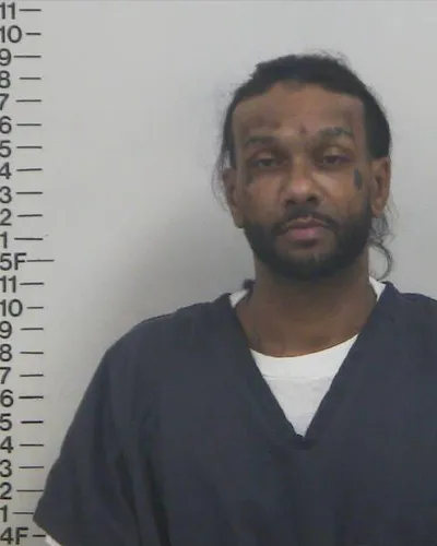 SEAN JOHNSON mugshot