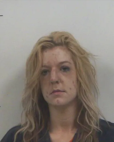 MEGAN WEBB mugshot