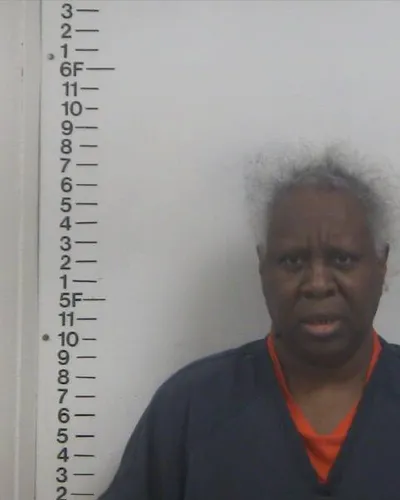 SHARON BRUNSON mugshot