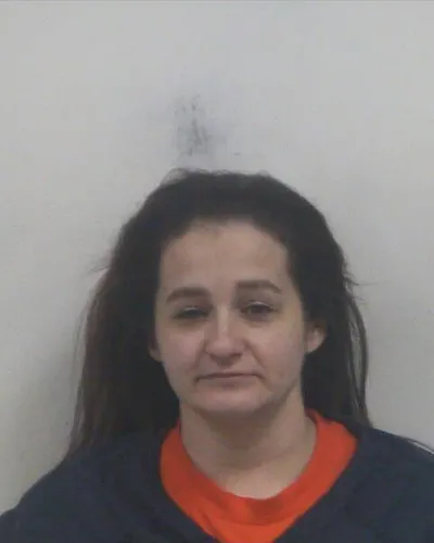 SABRINA PIPPIN mugshot