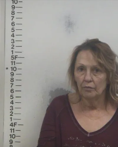 SHARON TILLIS mugshot