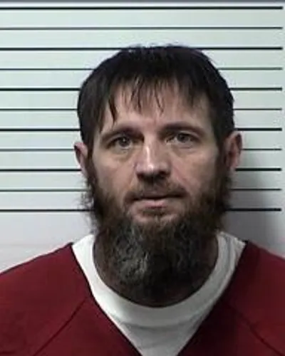 STEPHEN GOINS mugshot