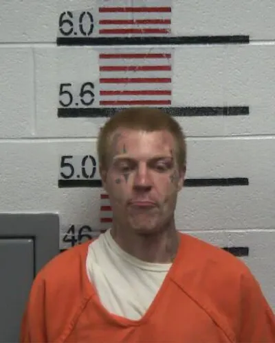 TOMMY LONG mugshot
