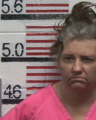 PATSY HICKS mugshot