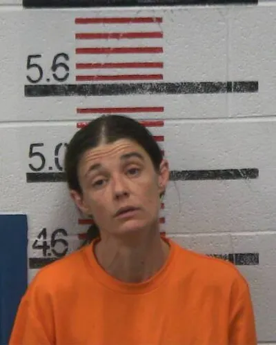 STEPHANIE BOWLIN mugshot