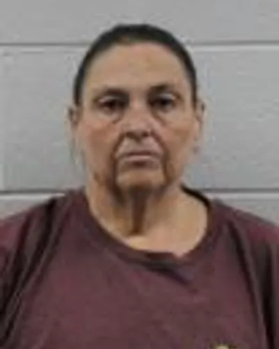 Gwendalyn Erickson mugshot