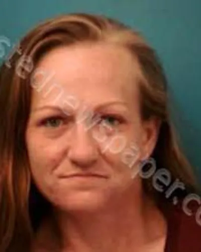 KRISTINA CARNEY mugshot